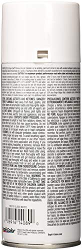 Dupli-Color EPAE110 Premium Acrylic Enamel Spray Paint - Gloss White - 12 oz. Aerosol Can - color: Gloss White