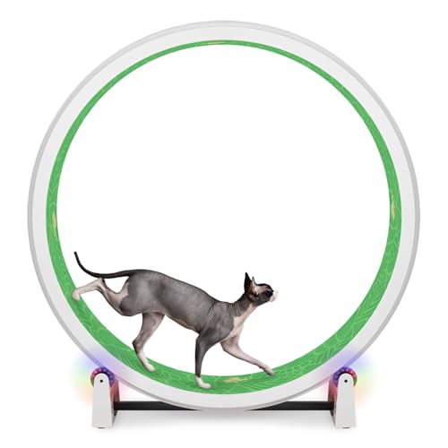 One Fast Cat - Cat Exercise Wheel - Made in the USA - 48" Diameter - Gen. 7 - color: White Wheel / Tropical Frogs Foam / LED Inline