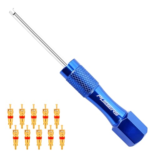 Schrader Tire Valve Tool with 10 Brass Valve Cores - size: Schrader 1PACK+10Cores
