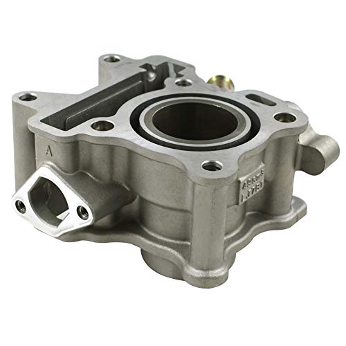 AHL Cylinder Head Piston Kit Gasket Fuel Filter 100cm Oil Tube Set 38mm Bore for CE50D Jog Deluxe 2013-2017/CE50P Jog Petit 2015-2017