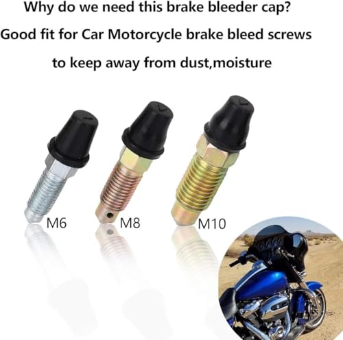 Brake Bleeder Hose One Way Check Valve, One Way Brake Bleeder Valve for Motorcycle Clutch, Brake Bleeder Check Valve for Hydraulic Brake System, Soft Tube with Metal Clips (1 Set)