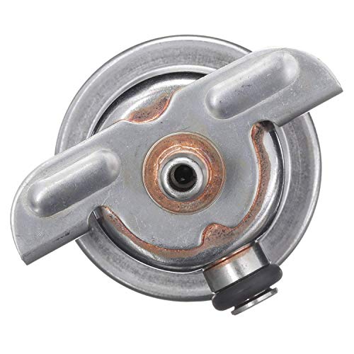Delphi FP10302 Fuel Pressure Regulator, 1 Pack