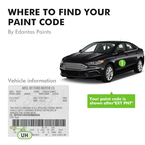 JS Iconic Silver Touch Up Paint for Ford Cars