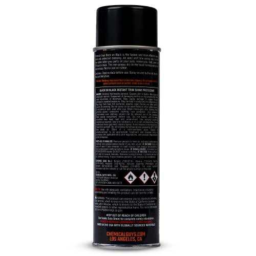 Chemical Guys, Black on Black Instant Exterior Trim Shine Dressing, 11 oz