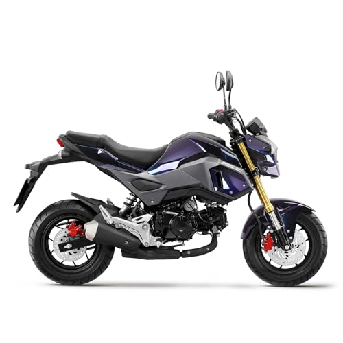Mokuo Motorcycle Fairing Kit in ABS Material Compatible with Honda Grom Msx 125 SF 2017-2020, Purple Color with Chromatic Effect - style: Purple