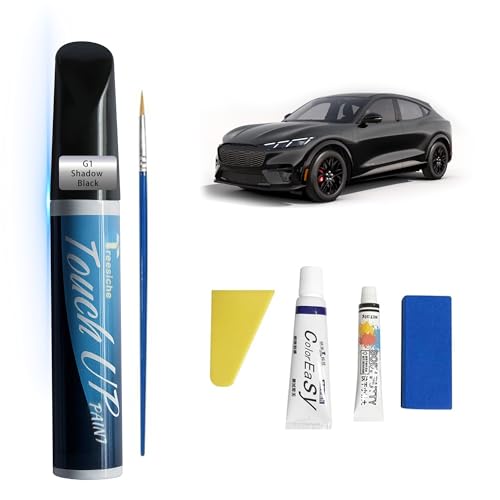 G1 Shadow Black Touch Up Paint for Ford Exact Match - color: Shadow Black(G1)
