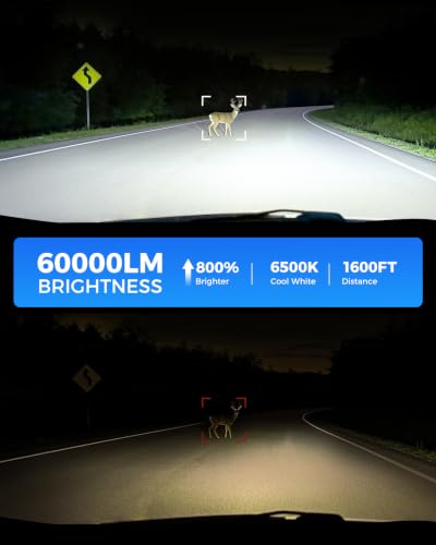 Marsauto H13 H10 LED Light Bulbs Combo 60,000 Lumens 6500K White, 1:1 Size 9008/H13 9145/H10 LED Fog Light Bulbs Combo for 2004-2014 Ford F-150, 2005-2020 F250/F350, 2005-2009 Dodge Dakota, Pack of 4 - color: SUPER 6000K WHITE, size: H13+H10