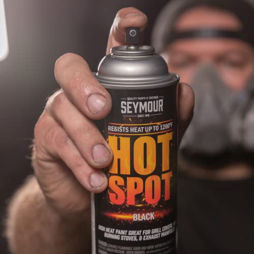 Seymour 16-1202 Hot Spot High Temperature Paints, White - color: White