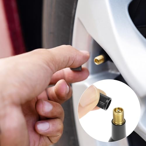 QWORK TR413 Rubber Snap-in Tire Valve Stems, 100 Pcs Brass Core EPDM Rubber Universal Fit for Passenger Car Tubeless Tires Leak Tested