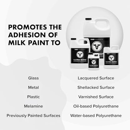 RMP Finishes Ultra Bond Adhesion Promoter Bonding Primer for Painting Plastic, Shellac, Glass, Painted, Varnished Surfaces, No VOCs, 16 oz. - size: 16 Fl Oz (Pack of 1)