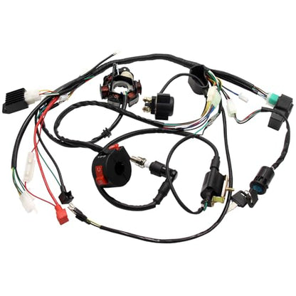 Complete Electric Wiring Harness CDI Stator for Chinese ATV UTV Go Kart Taotao 50cc 70cc 90cc 110cc 125cc