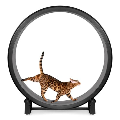 One Fast Cat - Cat Exercise Wheel - Made in the USA - 48" Diameter - Gen. 7 - color: Black Wheel / Gray Felt / Black Inline