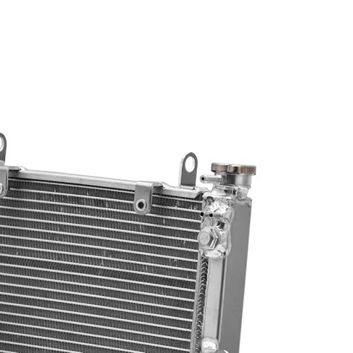 ALLOYWORKS Aluminum Racing Cooling Radiator For 1999-2002 2000 2001 Yamaha YZF R6 R6