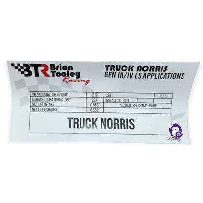 Dynosty BTR TRUCK NORRIS Cam Kit with Pushrods Delphi Lifters, Trays, Head Gaskets LS 4.8 5.3