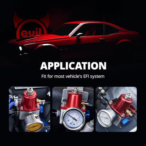 EVIL ENERGY EFI Fuel Pressure Regulator Kit Adjustable (20-120PSI) with Gauge 6AN PTFE Fuel Line Hose Fitting Connectors Kit Universal Aluminum (Silver) - color: Silver