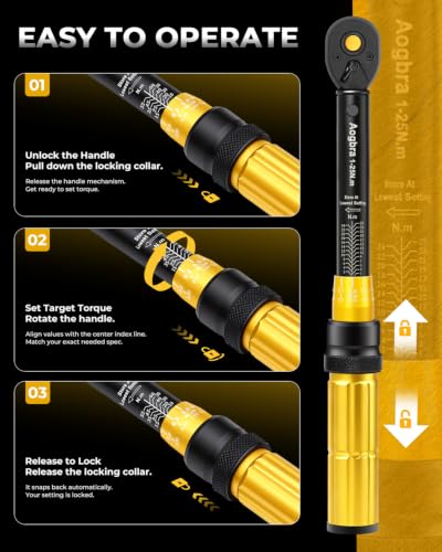 1/4" Torque Wrench Set with Bit Sockets, 10-220 in.lb Precision Click Torque Wrench Kit, S2 Steel Bits, Extension Bar & Case for Bike and Auto Repair - size: 1/4"