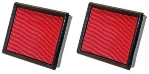 WIX WIX46044 Filters - 46044 Air Filter Panel, Pack of 2 - size: 1 Count (Pack of 2)