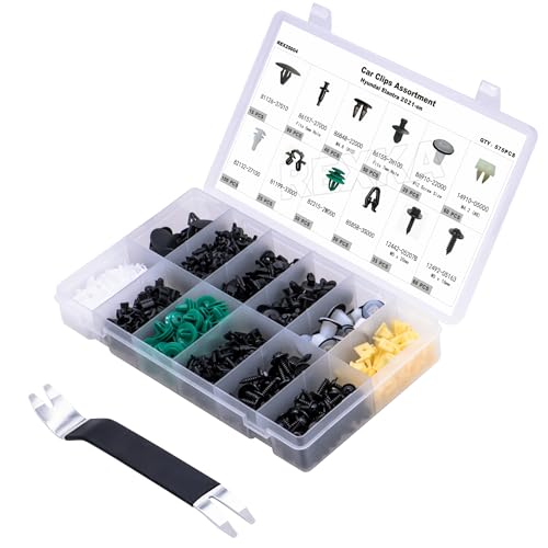 Rexka 576pcs Car Retainer Clips Fasteners Assortment-12 Most Popular Sizes Auto Push Pin Rivets for Hyundai Elantra 2021-on - color: 576pcs