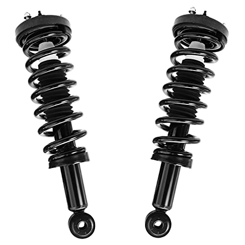 Detroit Axle - 2 Front Struts for 04-08 Ford F-150 06-08 Lincoln Mark LT - size: 171362 x2/PAIR