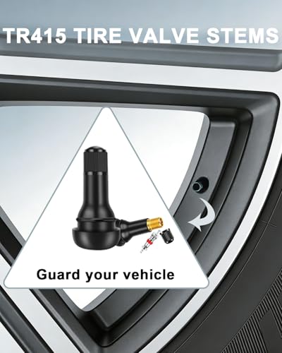 Riseuvo TR415 Tubeless Rubber Snap-in Tire Valve Stems, 100Pcs