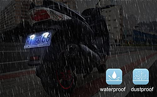 RUPSE 2ps License Plate Light,12V Waterproof LED Bulb (Blue) - color: Blue
