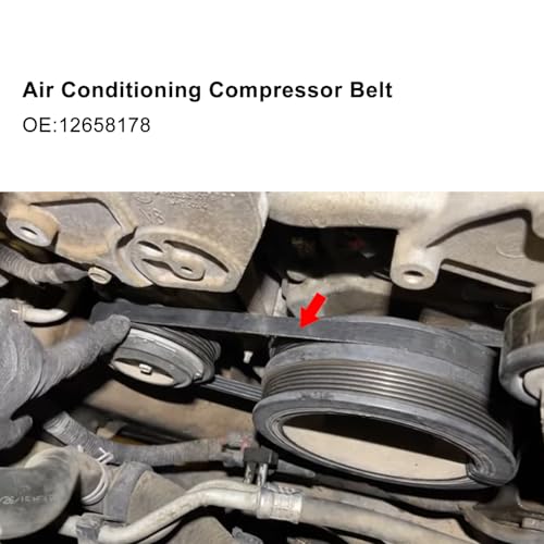 V-Ribbed Serpentine Belt & Air Conditioning Compressor Belt for Silverado