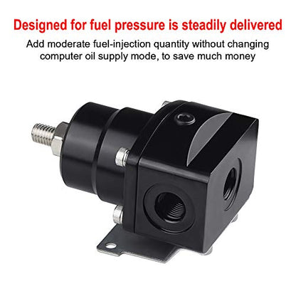 EFI Fuel Pressure Regulator Kit with 100 Psi Pressure Gauge AN6-6AN