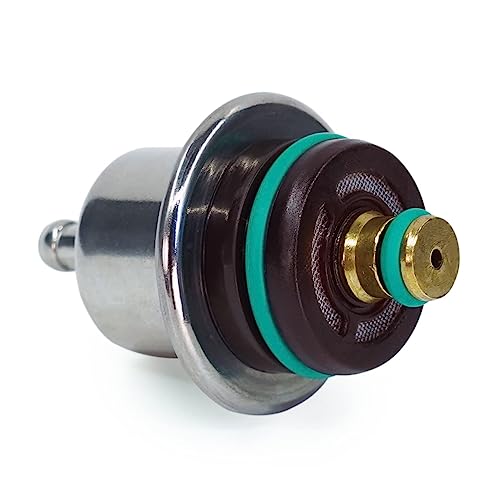 Fuel Pressure Regulator PR317 Compatible with Ford E-150 E-250 E350 E-450 E-550 Excursion F-150 F-250 F-350 F-450 F-550 F53 Taurus Windstar Mercury Sable #0280160527 217-3073 PR203 PR217