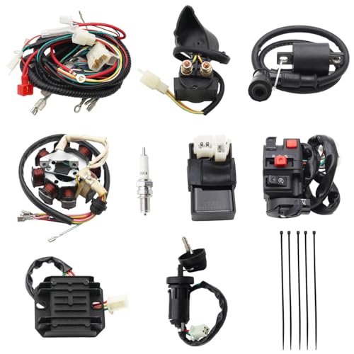 PRO BAT Chinese 150cc ATV Wiring Harness CG 8-Pole Stator 6-Pin AC CDI - color: W Spark Plug & B Regulato & B Ignition Coil