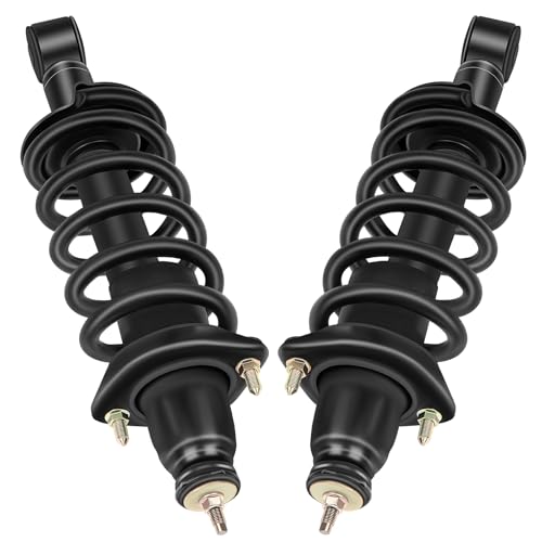 ECCPP Rear Complete Strut Spring Assembly for 2002-2006 for Honda CR-V - size: 171380L 171380R