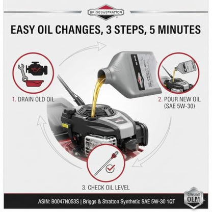 Briggs & Stratton SAE 5W-30