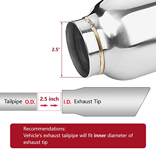 LCGP 2.5" to 4" Diesel Exhaust Tip, 5" Overall Length, Double Wall Design - size: 2.5“x4"x5", style: Polished