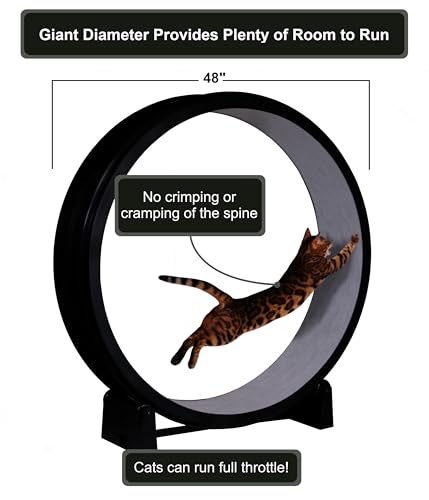 One Fast Cat - Cat Exercise Wheel - Made in the USA - 48" Diameter - Gen. 7 - color: Black Wheel / Gray Felt / Black Inline