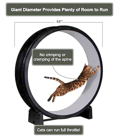 One Fast Cat - Cat Exercise Wheel - Made in the USA - 48" Diameter - Gen. 7 - color: Black Wheel / Gray Felt / Black Inline