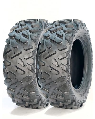 GarveeTech Set of 2 ATV UTV All-Terrain Tires 25x8-12, 6PR Tubeless Heavy Duty Off-Road Tires for Mud & Sand, Durable Off-Road Performance & High Load Capacity - size: AT25X8-12, style: Pattern 110