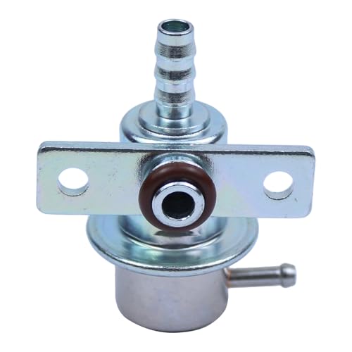 Fuel Injection Pressure Regulator for Ford