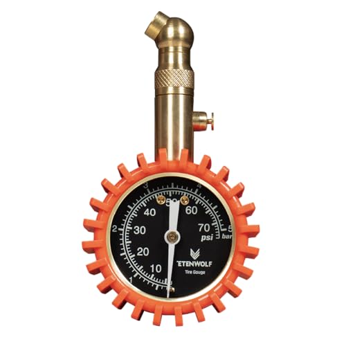 ETENWOLF Tire Pressure Gauge for Cars 0-75 PSI with Large Glow Dial - color: Vivid Orange