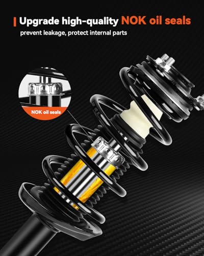 PROEZE Front Strut Assembly for 2006-2011 Civic, Shock Absorber Front with Coil Springs Replace 172286,172287, Driver and Passenger Side, 2PCS - size: 06-11 Civic-Front