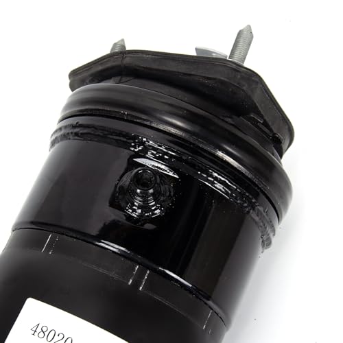 2 PCS Front Complete Struts Assembly Shock Absorbers Air Suspension Compatible with Lexus LS600hL LS460 AWD 4WD 2008-2016, Replacement Struts Shocks Assembly for 4802050200, 4801050200 - size: F394