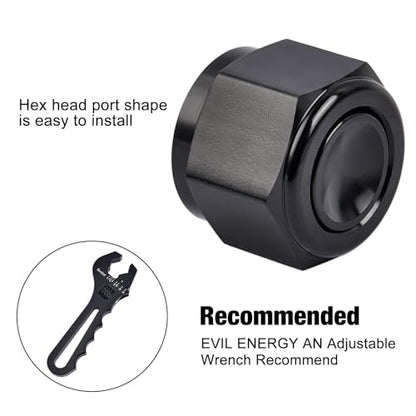 EVIL ENERGY 16AN Flare Cap Block off Fitting Plug Black 2PCS - size: 16AN