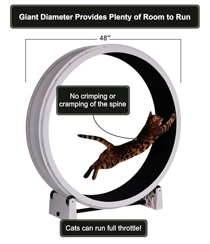 One Fast Cat - Cat Exercise Wheel - Made in the USA - 48" Diameter - Gen. 7 - color: White Wheel / Black Felt / LED Inline