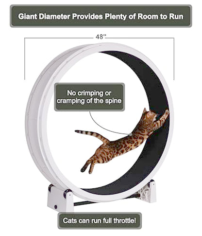 One Fast Cat - Cat Exercise Wheel - Made in the USA - 48" Diameter - Gen. 7 - color: White Wheel / Black Felt / Solid Black Inline