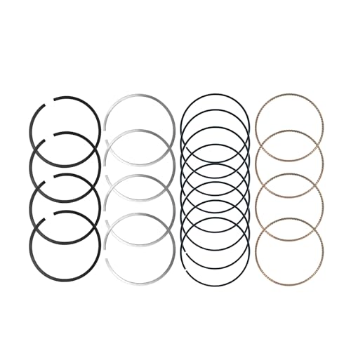 STD Engine Piston Ring Kits Compatible with Mini Cooper Countryman Paceman - color: 11257566479 Engine Piston Ring