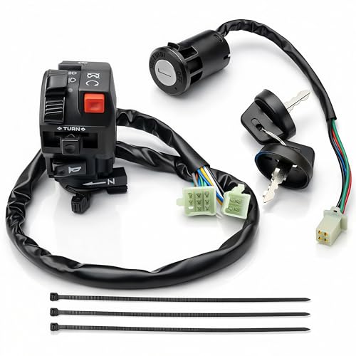 7/8" Left Handlebar Control Switch Assembly & 4-Pin Ignition Key Combo with Manual Choke - Replacement for 150cc 200cc 250cc Chinese ATV Quad TaoTao Coolster SSR Roketa Baja SunL