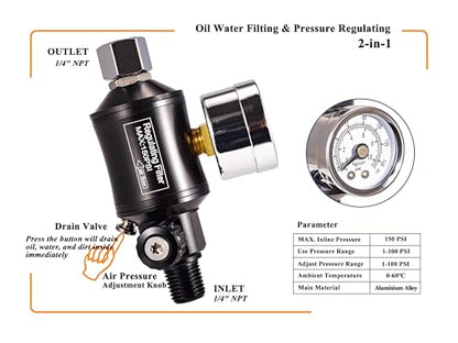 Dynastus Pro Series Gravity Feed Composite HVLP Air Spray Gun Detail Paint Sprayer 2 Pcs Kits, with 1.0, 2.0 Nozzle