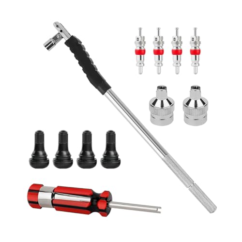 12PCS Car Valve Stem Puller Installer Kit, Automotive TR413 Tire Snap in Valve Stem with Slotted-Head Valve Cap, Vehicle Single Head Core Remover Installer Tool Set, Universal Fit