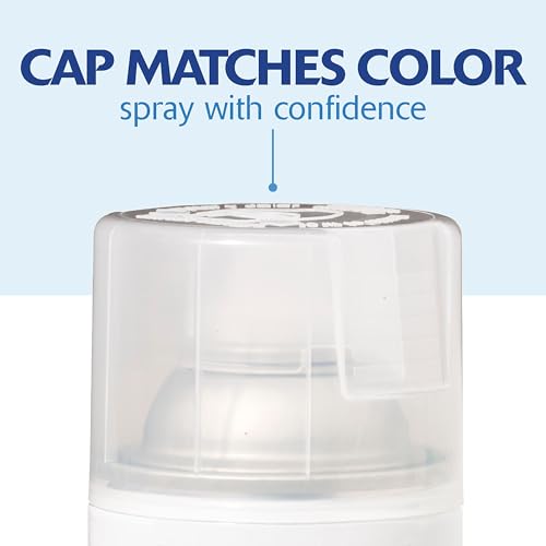 Rust-Oleum 334029-6PK Painter's Touch 2X Ultra Cover Spray Paint, 12 oz, Gloss Clear, 6 Pack - color: Clear, size: 12 Ounce (Pack of 6)