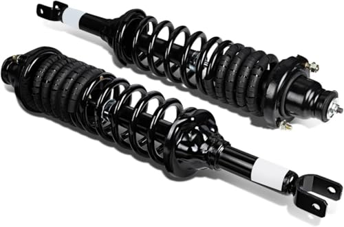 Auto Dynasty Rear Struts Shocks Assembly and Coil Spring Compatible with 1994-1997 Honda Accord 5th Gen, Left and Right Complete Pair Shock Absorber SR4050 SR4049
