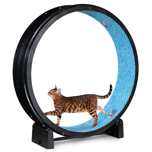 One Fast Cat - Cat Exercise Wheel - Made in the USA - 48" Diameter - Gen. 7 - color: Black Wheel / Koi Pond Foam / Black Inline