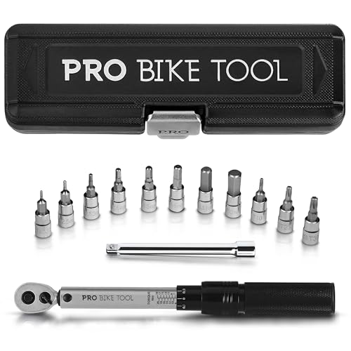 PRO BIKE TOOL 1/4 Inch Drive Click Torque Wrench Set - Precise 2 to 20 Nm Bike Tool Kit for Road and Mountain Bikes - Includes 1/4 Torque Wrench, Allen, Torx Bits, Extension Bar and Storage Box - color: Silver